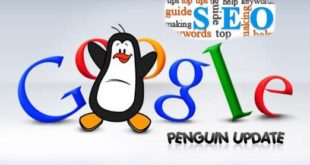 Tin tức hướng dẫn seo web | Tổng quan Thuật toán Google Penguin