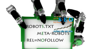 Cách tạo Robots.txt cho web chuẩn seo